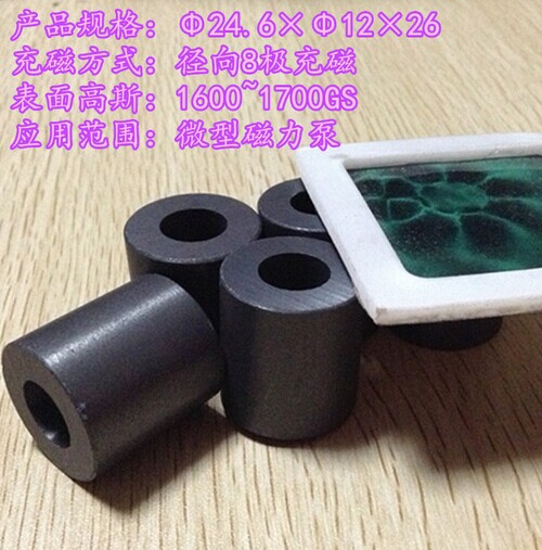 磁力泵用多极磁环 磁铁厂家