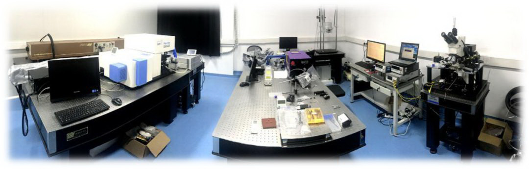 beat365在线唯一官网高层次人才招聘启事